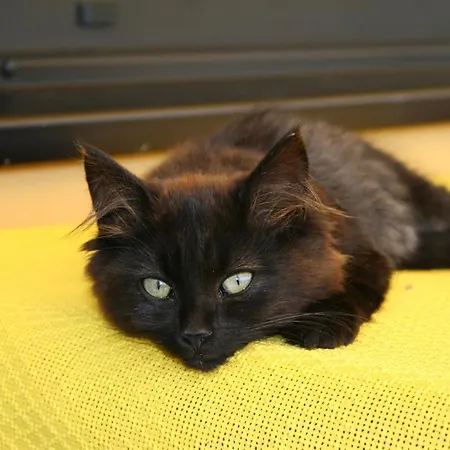 Bauernhof-pension Puschnikhof