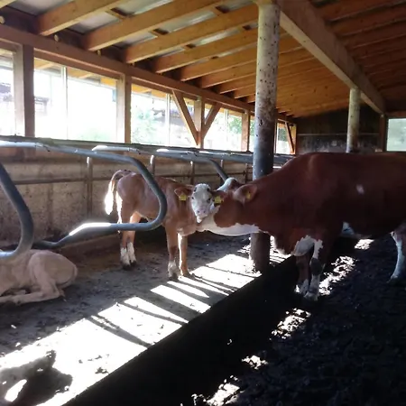 Bauernhof-pension Puschnikhof