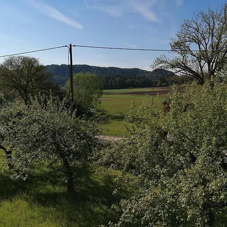 בית חווה Bauernhof-pension Puschnikhof