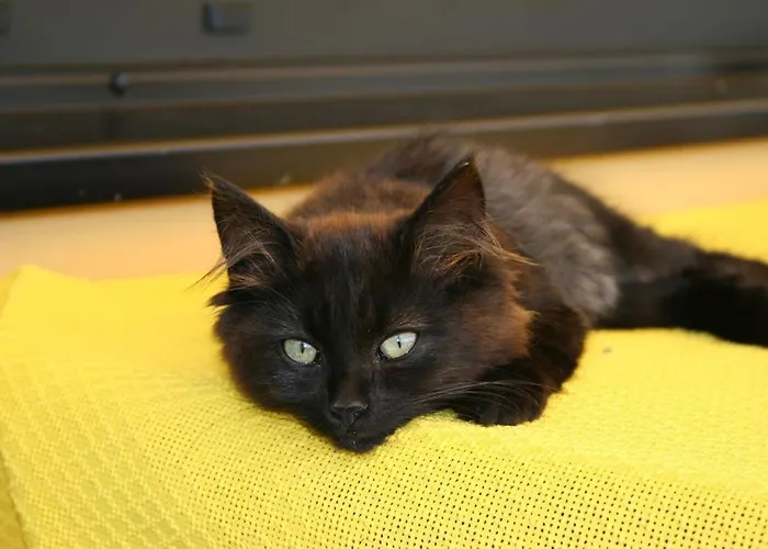 Bauernhof-pension Puschnikhof