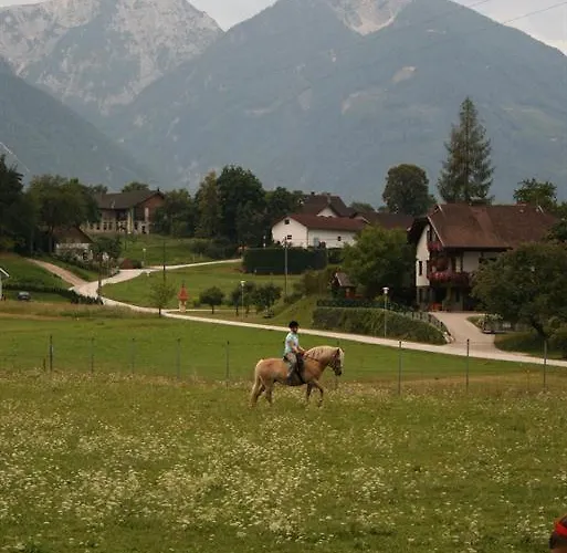 Bauernhof-pension Puschnikhof Фермерский дом