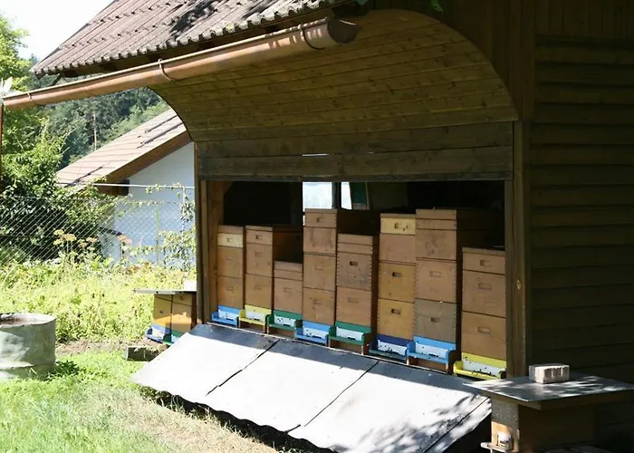 Bauernhof-pension Puschnikhof