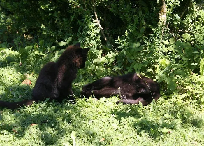 Bauernhof-pension Puschnikhof Farm stay *