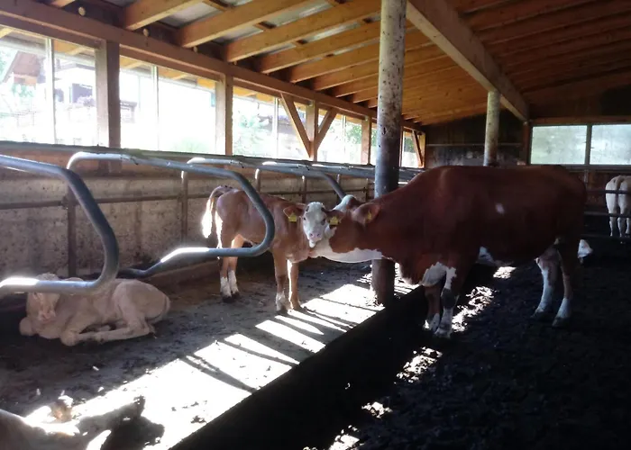 Bauernhof-pension Puschnikhof