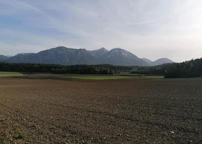 Bauernhof-pension Puschnikhof Фермерский дом Unternarrach