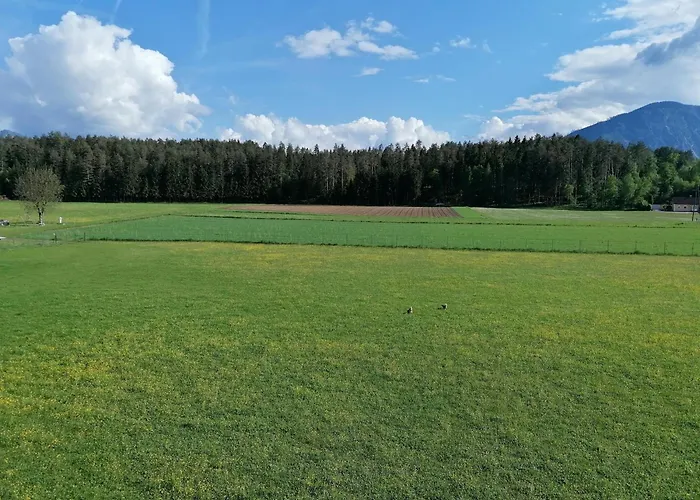 Фермерский дом Bauernhof-pension Puschnikhof Unternarrach