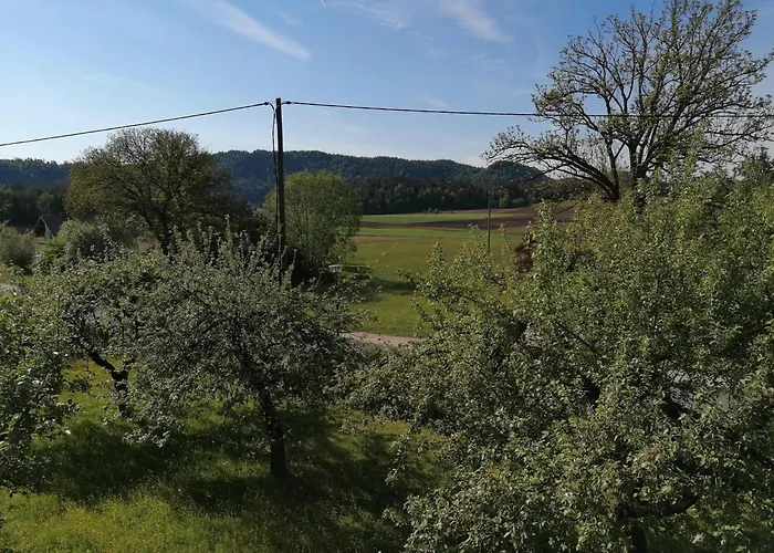 בית חווה Bauernhof-pension Puschnikhof